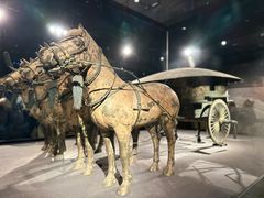 -秦始皇帝陵博物院-丽山园