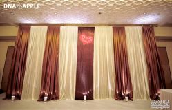 -DNA Wedding 婚礼记(上海店)