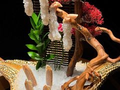 -蟹犇前•帝王蟹雪蟹(陆家嘴店)