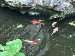 -广州白天鹅宾馆
