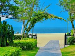 -广东惠东海龟国家级自然保护区