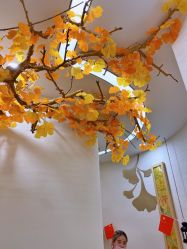 -芳朵美容养生SPA