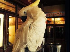 iphone_upload_pic-那家小馆•北京菜•烤鸭(香山店)