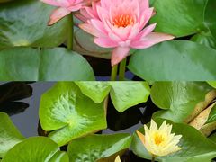 -白鹭湾湿地公园