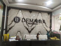 -DEM缔怡美科技美容