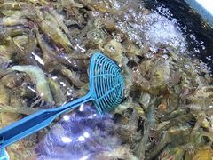 -聚盛源蒸汽海鲜火锅烤肉自助(巨川金海岸购物广场店)