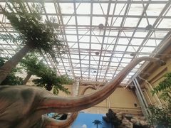 -国家自然博物馆