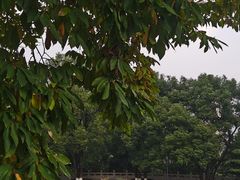 -龙头寺公园