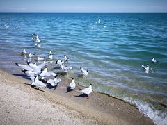 -青海湖国家重点风景名胜区