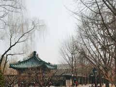 -月坛公园