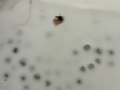 -仁信老铺(嘉信店)