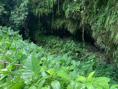 -海口火山口国家地质公园