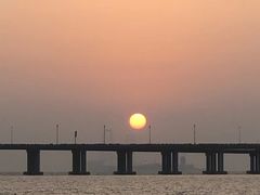 -宝安西湾红树林湿地公园