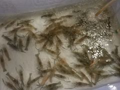 -芭提雅Amporn Seafood自助餐厅