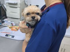 -爱侣宠医·鹦鹉专科·小型哺乳类·异宠专科(灵石路店)