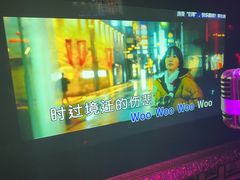 -温莎KTV(珠江路店)