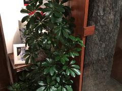 -铃木食堂(帽儿胡同店)
