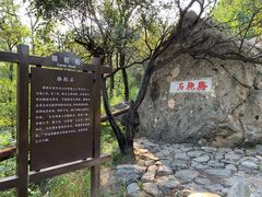 -阳台山自然风景区