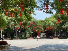 -顺峰山公园