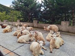 -白草畔自然风景区