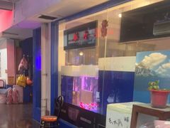 -山东柏宁水族批发广场