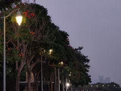 -深圳湾公园(南山区)