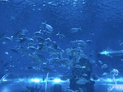 -石家庄极地海洋世界