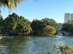 -荔湾湖公园