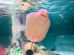 -沈阳海洋探索中心