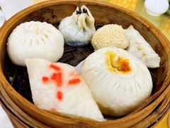 -富春茶社(国庆路店)