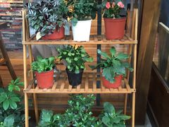 -猫的天空之城概念书店(杭州南宋御街店)