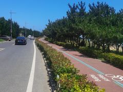 -青岛第二海水浴场
