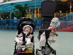 -秦皇岛乐岛海洋王国