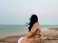 -海堤纪念公园