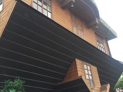 -金山农民画村-枫泾波兰倒置屋