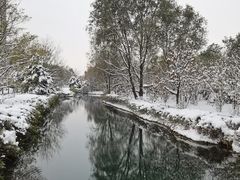 -长白岛森林公园