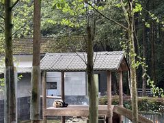 -中国大熊猫保护研究中心雅安碧峰峡基地