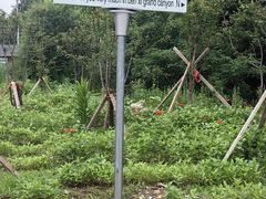 -本溪大峡谷
