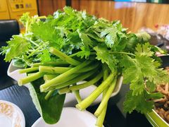 -鼎宏干锅牛肉(富城时代店)