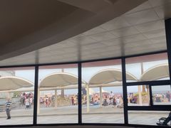 -碧海金沙
