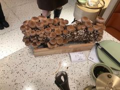 -椰子营·椰子鸡火锅(万象里店)