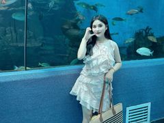 -合肥海洋世界