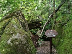 -茅兰沟国家森林公园