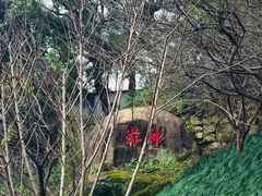 -乌山风景区