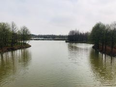 -上海海湾国家森林公园