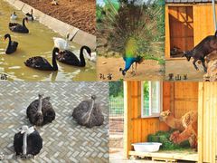 -武汉紫薇都市田园