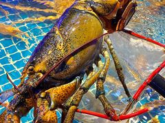 -驻海渔市(置信店)