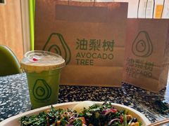 -油梨树AVOCADO TREE(顺义新国展店)