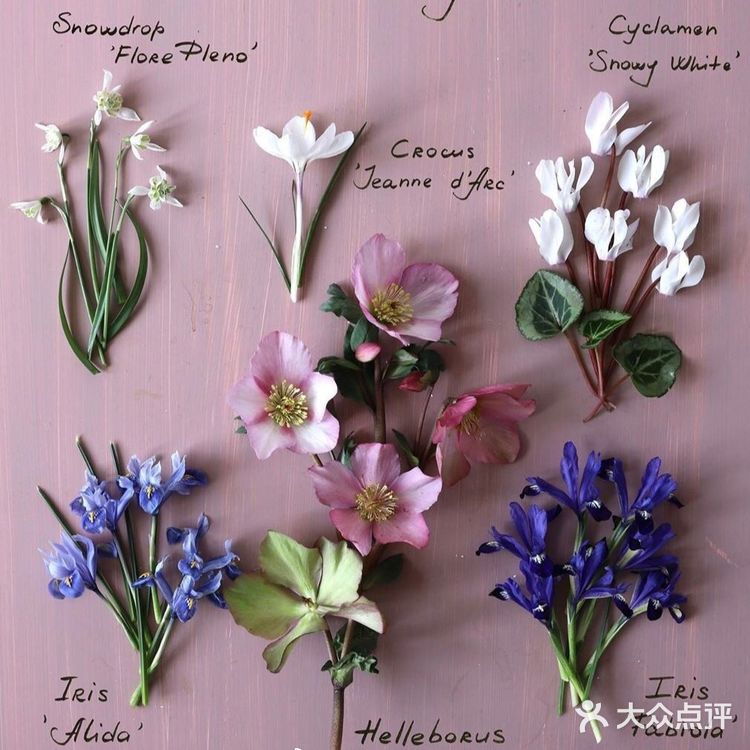 岁月如花，笑看花开，静赏花落是人生的一种极致