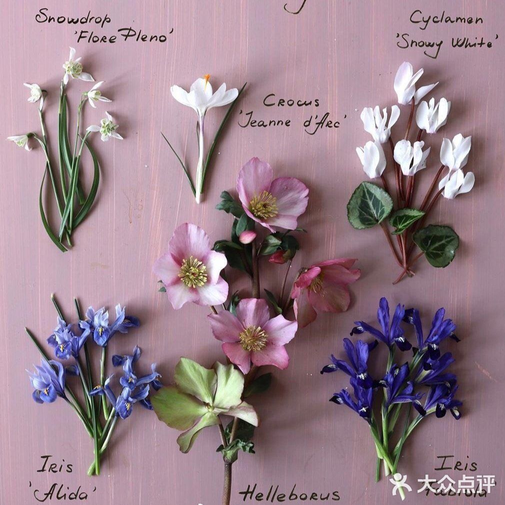 岁月如花，笑看花开，静赏花落是人生的一种极致